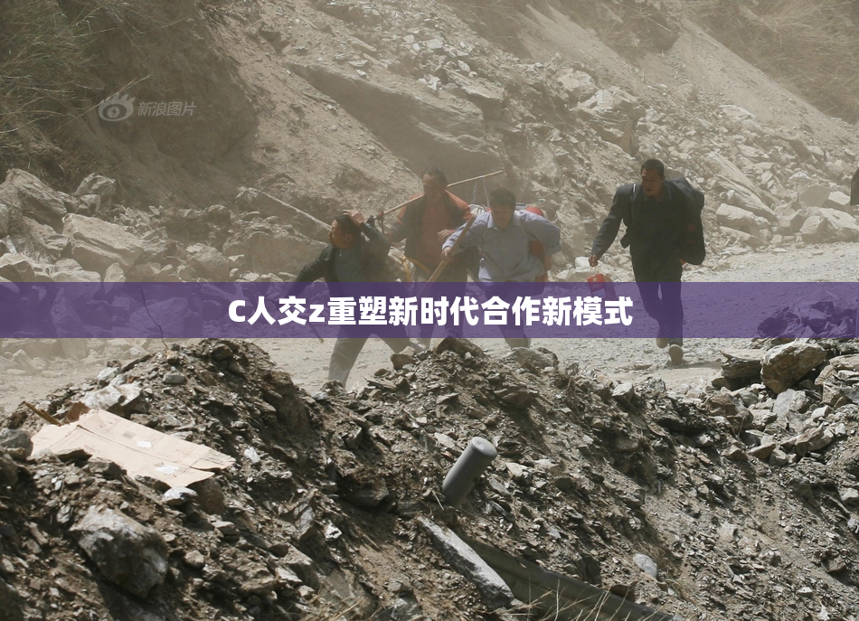 C人交z重塑新时代合作新模式