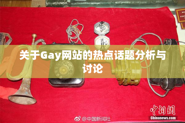 关于Gay网站的热点话题分析与讨论