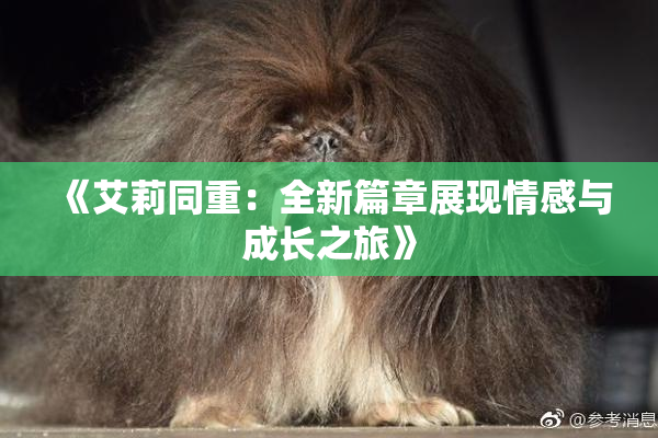 《艾莉同重：全新篇章展现情感与成长之旅》