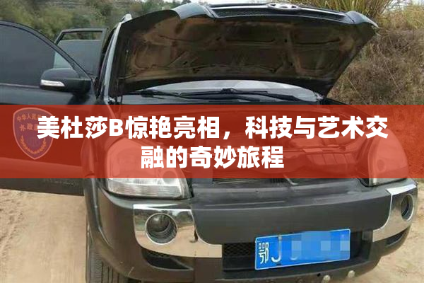 美杜莎B惊艳亮相，科技与艺术交融的奇妙旅程