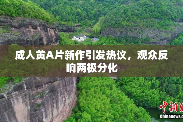 成人黄A片新作引发热议，观众反响两极分化