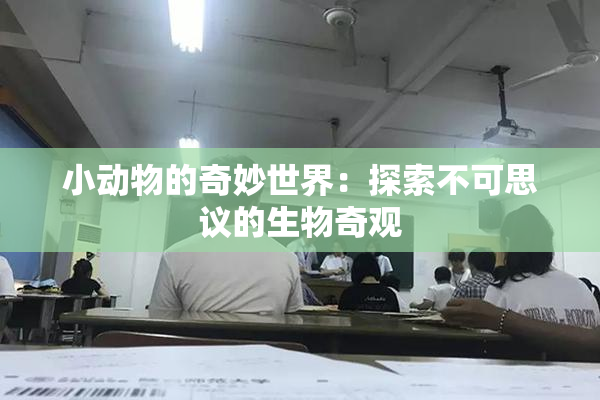 小动物的奇妙世界：探索不可思议的生物奇观
