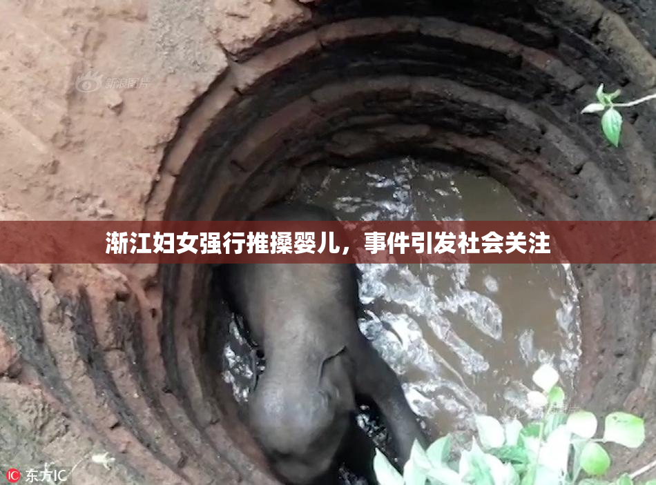 渐江妇女强行推搡婴儿，事件引发社会关注