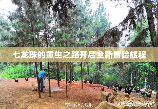 七龙珠的重生之路开启全新冒险旅程