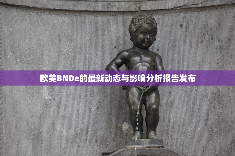 欧美BNDe的最新动态与影响分析报告发布