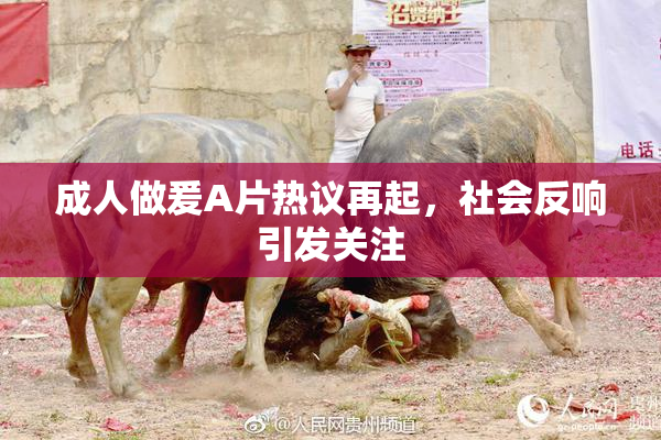 成人做爰A片热议再起，社会反响引发关注