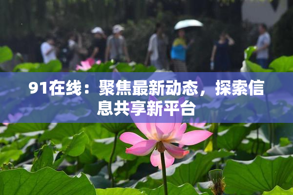 91在线：聚焦最新动态，探索信息共享新平台