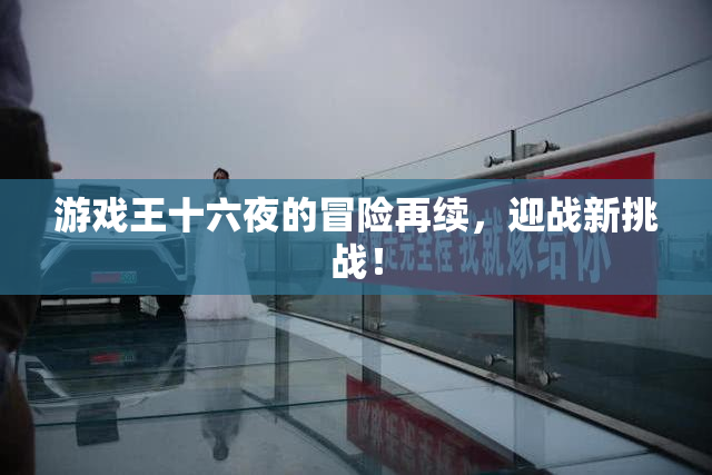 游戏王十六夜的冒险再续，迎战新挑战！