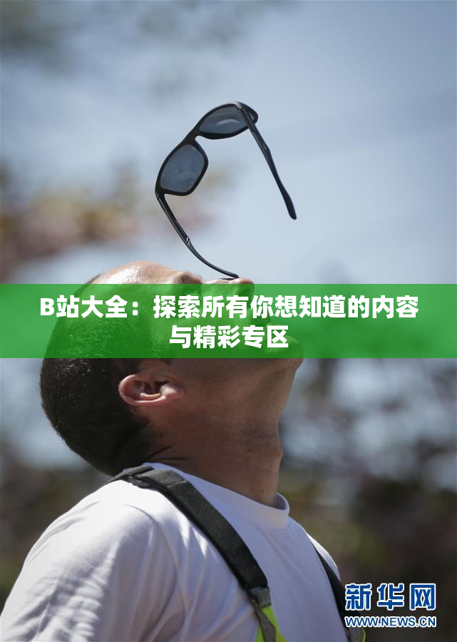 B站大全：探索所有你想知道的内容与精彩专区
