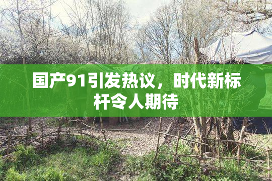 国产91引发热议，时代新标杆令人期待