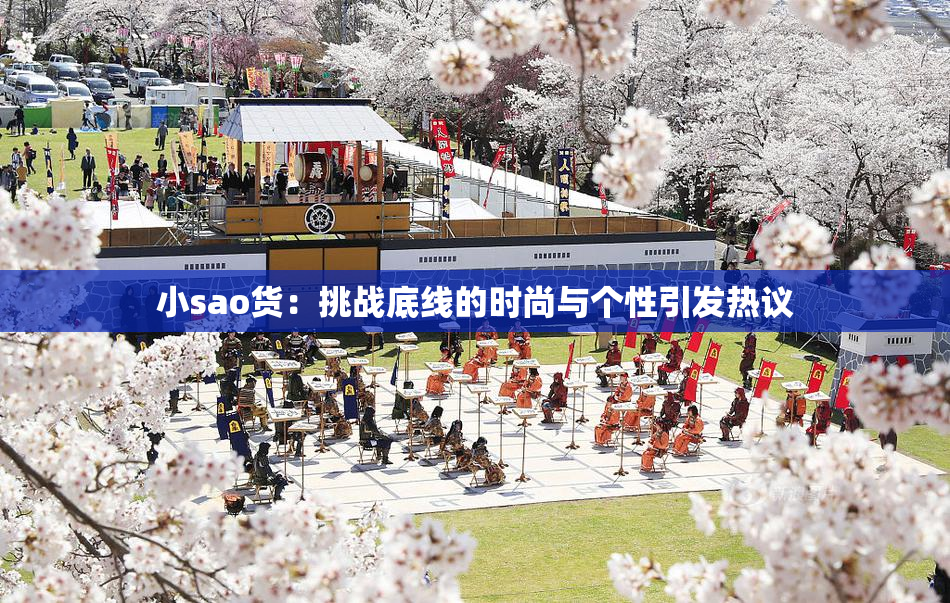 小sao货：挑战底线的时尚与个性引发热议