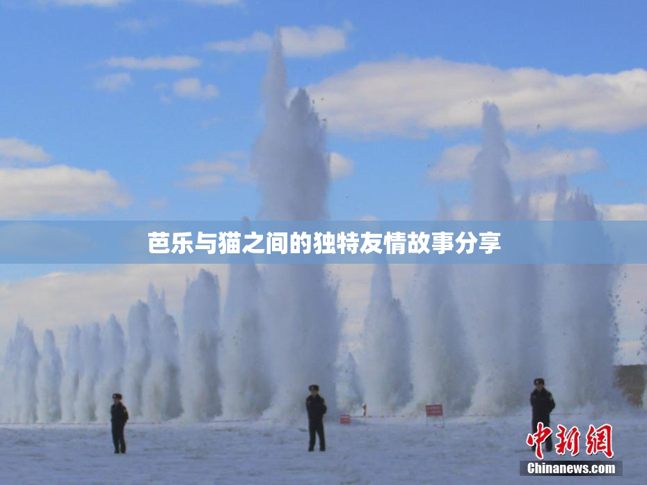 芭乐与猫之间的独特友情故事分享