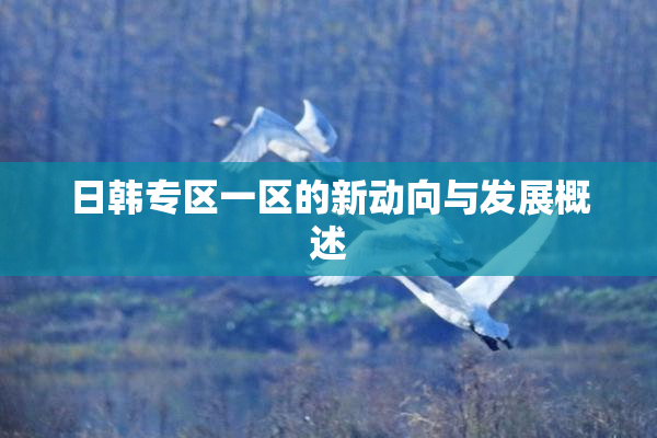 日韩专区一区的新动向与发展概述