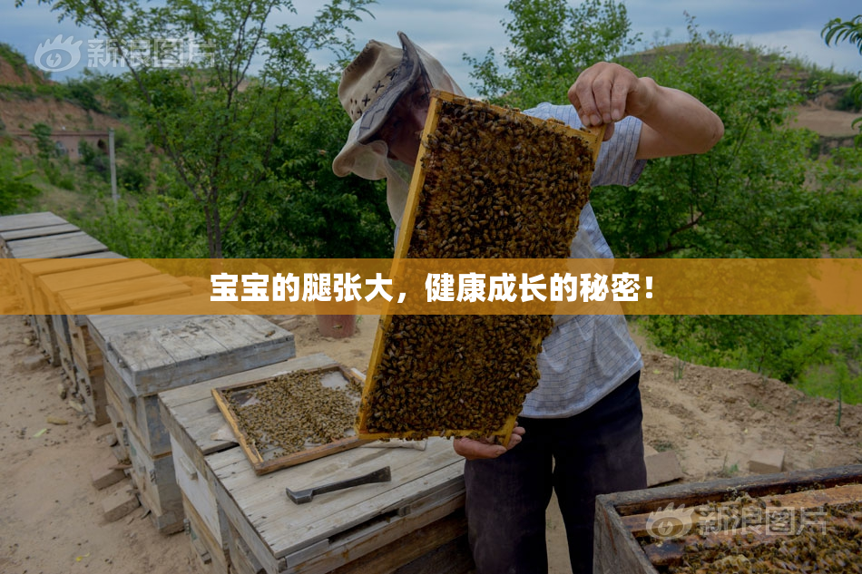宝宝的腿张大，健康成长的秘密！