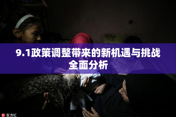 9.1政策调整带来的新机遇与挑战全面分析