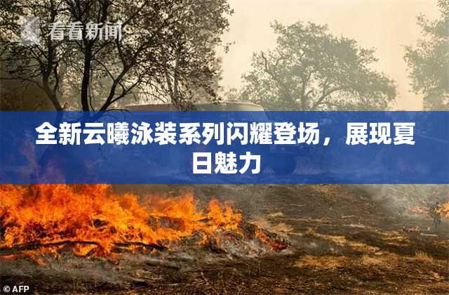 全新云曦泳装系列闪耀登场，展现夏日魅力