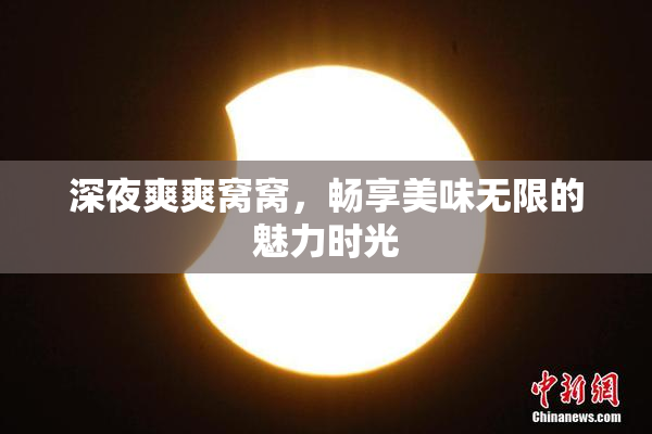 深夜爽爽窝窝，畅享美味无限的魅力时光