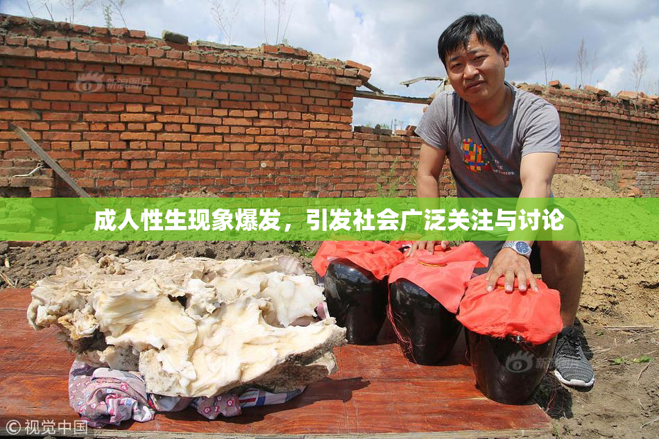 成人性生现象爆发，引发社会广泛关注与讨论