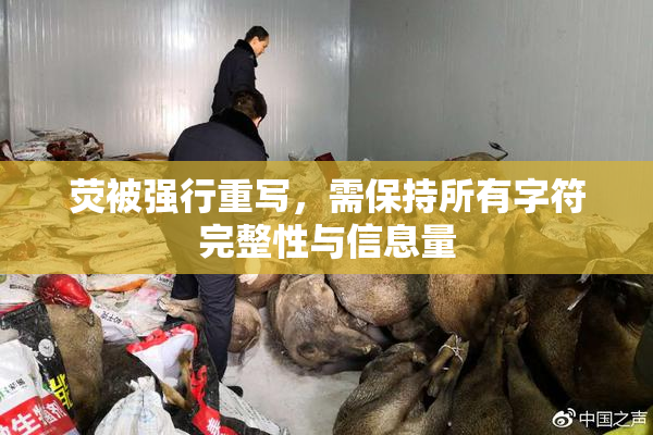 荧被强行重写，需保持所有字符完整性与信息量