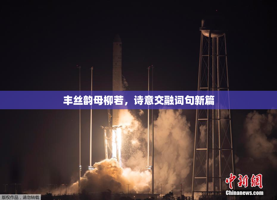 丰丝韵母柳若，诗意交融词句新篇