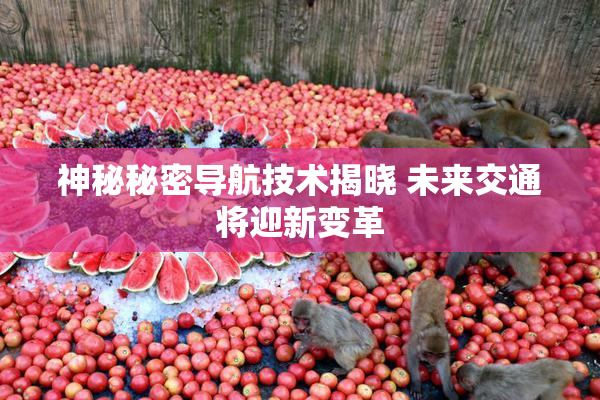 神秘秘密导航技术揭晓 未来交通将迎新变革