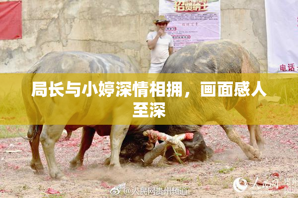 局长与小婷深情相拥，画面感人至深