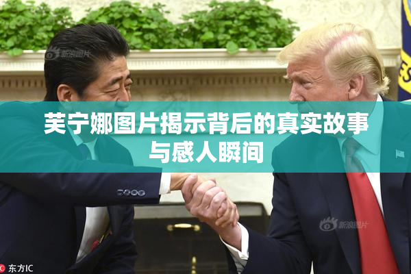 芙宁娜图片揭示背后的真实故事与感人瞬间