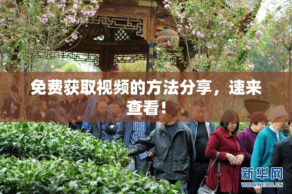 免费获取视频的方法分享，速来查看！