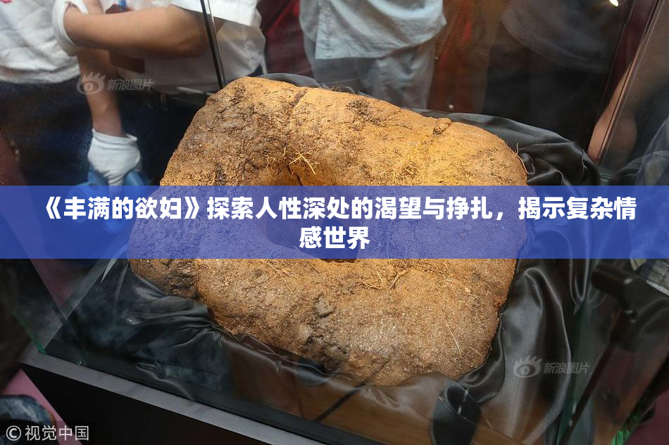 《丰满的欲妇》探索人性深处的渴望与挣扎，揭示复杂情感世界