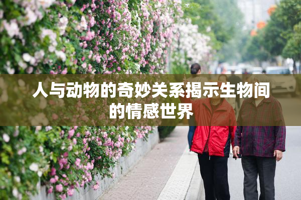 人与动物的奇妙关系揭示生物间的情感世界