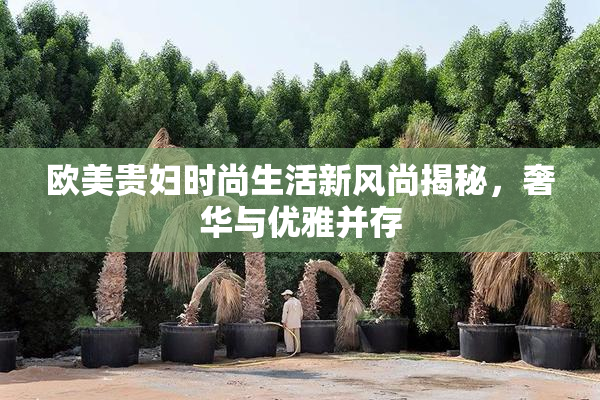 欧美贵妇时尚生活新风尚揭秘，奢华与优雅并存