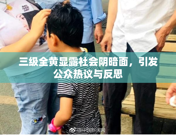 三级全黄显露社会阴暗面，引发公众热议与反思