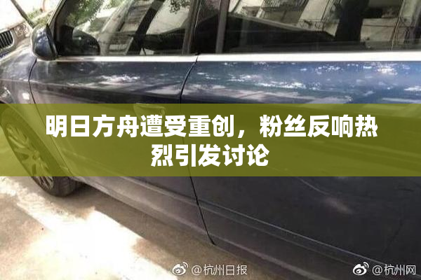 明日方舟遭受重创，粉丝反响热烈引发讨论