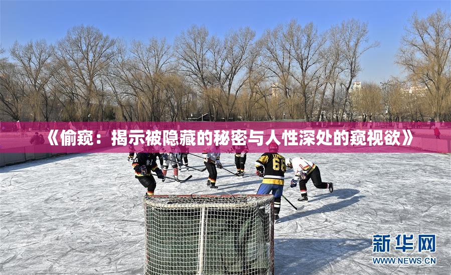 《偷窥：揭示被隐藏的秘密与人性深处的窥视欲》