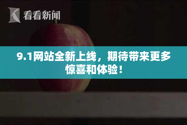 9.1网站全新上线，期待带来更多惊喜和体验！