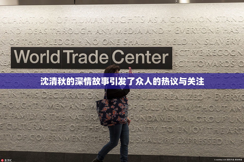 沈清秋的深情故事引发了众人的热议与关注