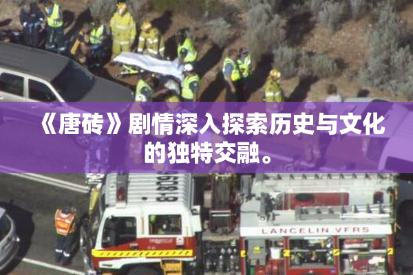 《唐砖》剧情深入探索历史与文化的独特交融。