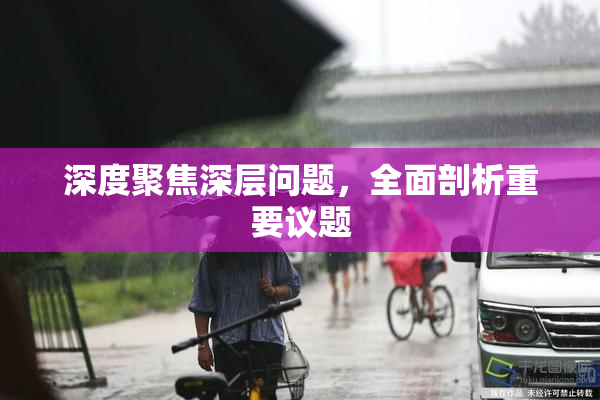 深度聚焦深层问题，全面剖析重要议题