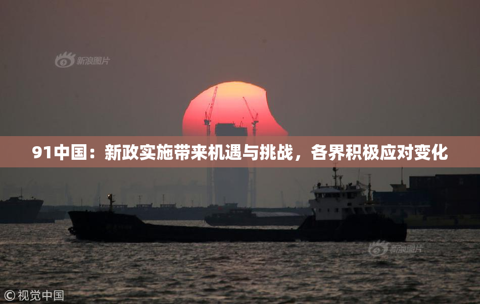 91中国：新政实施带来机遇与挑战，各界积极应对变化