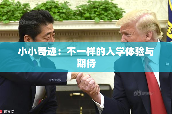 小小奇迹：不一样的入学体验与期待