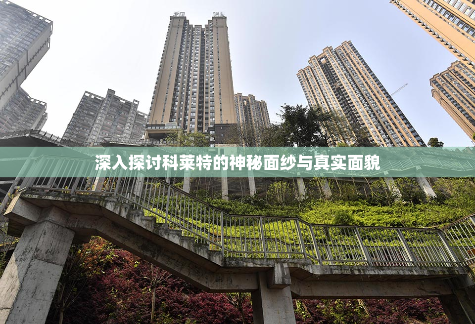深入探讨科莱特的神秘面纱与真实面貌