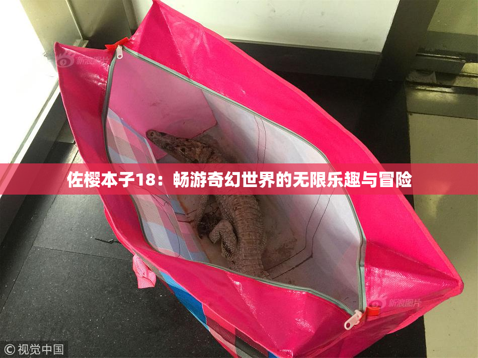 佐樱本子18：畅游奇幻世界的无限乐趣与冒险