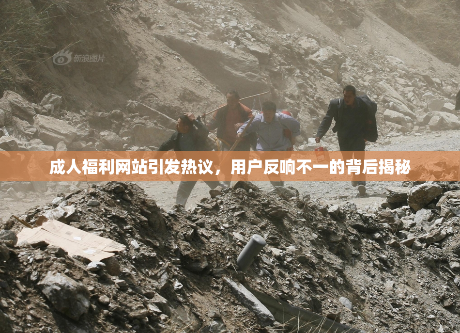 成人福利网站引发热议，用户反响不一的背后揭秘