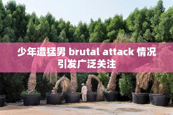 少年遭猛男 brutal attack 情况引发广泛关注