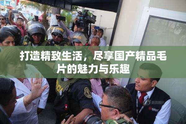 打造精致生活，尽享国产精品毛片的魅力与乐趣