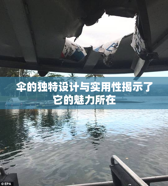 伞的独特设计与实用性揭示了它的魅力所在