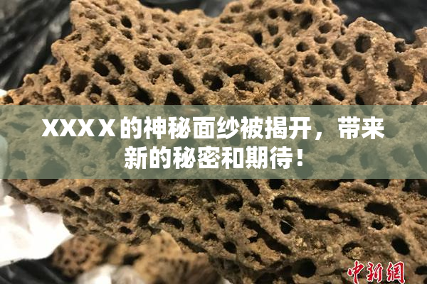 XXXⅩ的神秘面纱被揭开，带来新的秘密和期待！