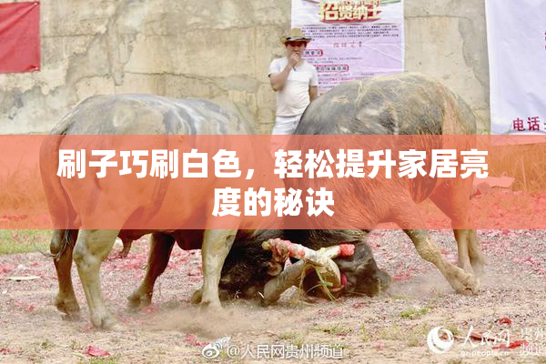 刷子巧刷白色，轻松提升家居亮度的秘诀