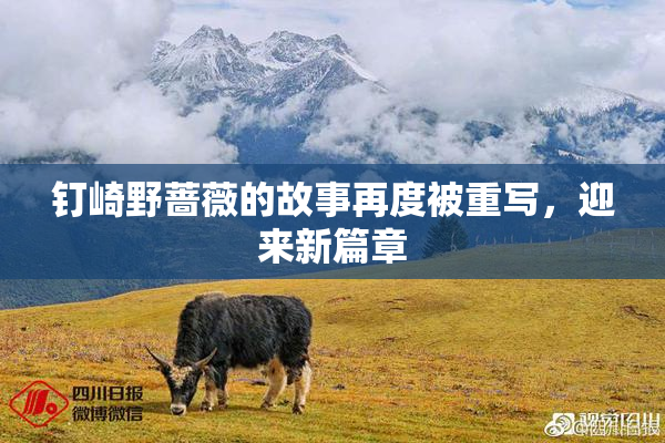 钉崎野蔷薇的故事再度被重写，迎来新篇章