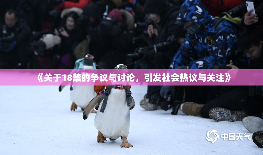 《关于18禁的争议与讨论，引发社会热议与关注》